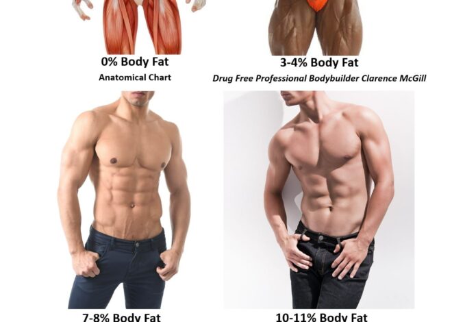 Body Fat Comparison: What Different Percentages Actually Look Like