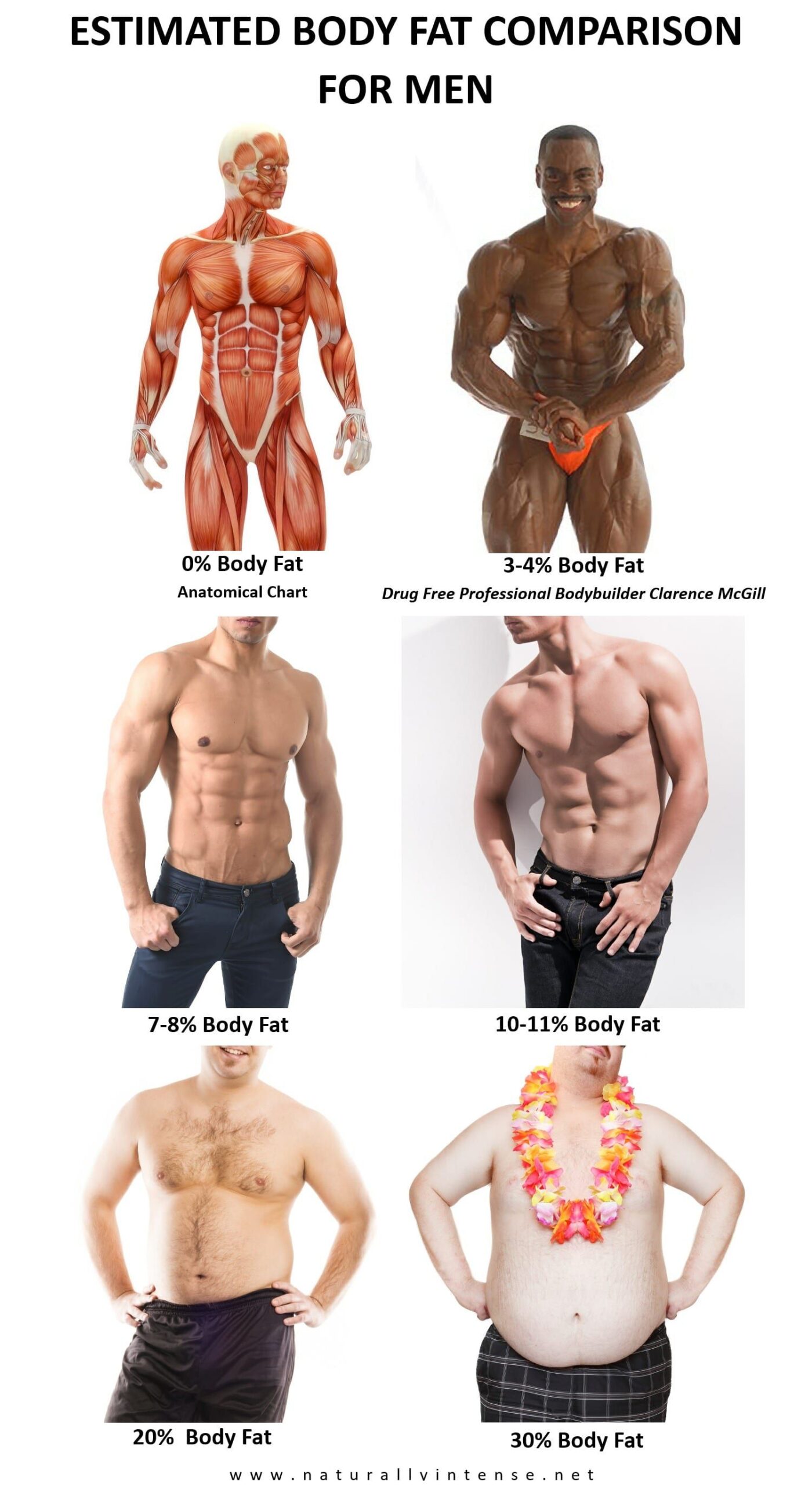 Body Fat Comparison: What Different Percentages Actually Look Like