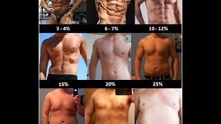 15 Percent Body Fat: A Visual and Practical Guide for Women and Men