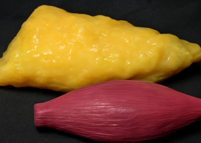 Ten Pounds of Fat: What It Looks Like and How Long It Takes to Lose