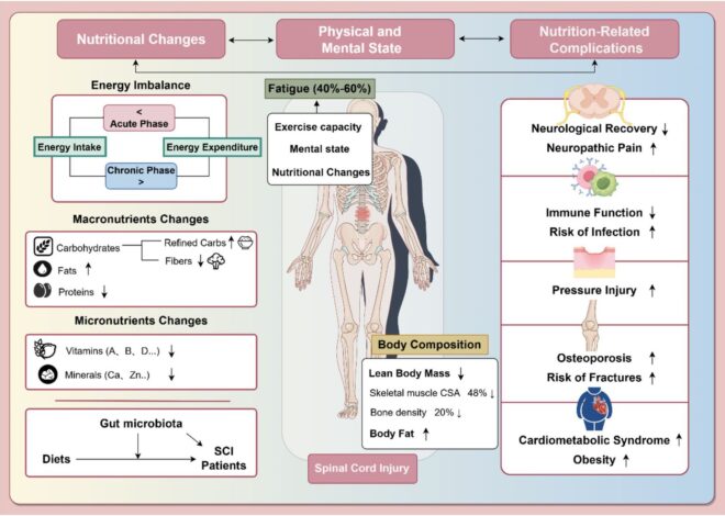 Fat Electrician’s Guide to Balanced Nutrition