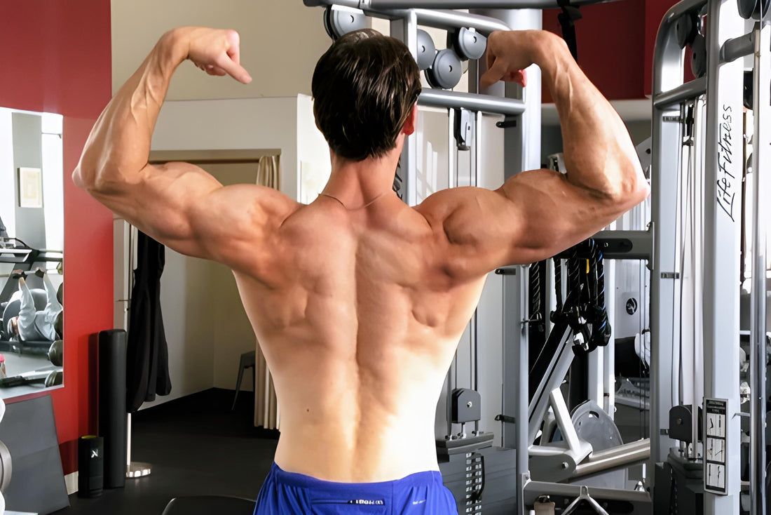 Gym Machines to Lose Belly Fat: An Effective Guide