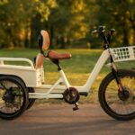 fat tire electric trike and functional groups in carbohydrates