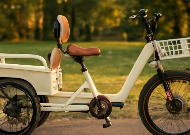 Fat Tire Electric Trike: A Ride for Energy Efficiency and Nutrition