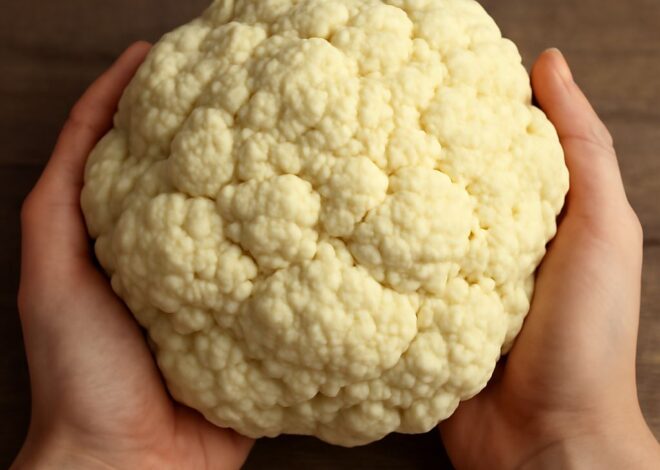 Textured Soy Protein: A Comprehensive Guide for Fitness Enthusiasts