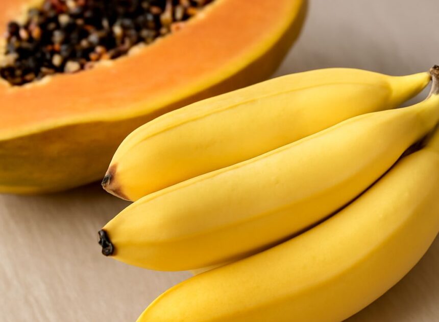 Low Fiber Diet: A Comprehensive Guide