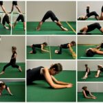 lower back exercises and lower back pain relief exercises