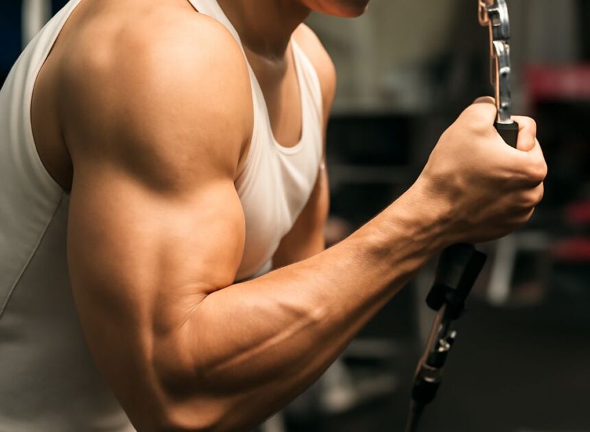 Tricep Exercises: Boost Your Arm Strength